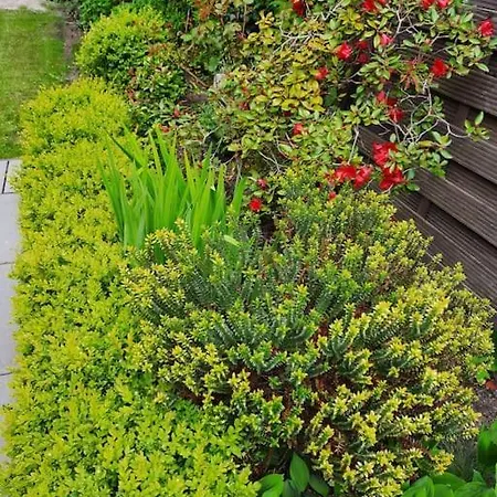 Urlaubsdomizil Norden/norddeich, Mit Garten Apartment Norden