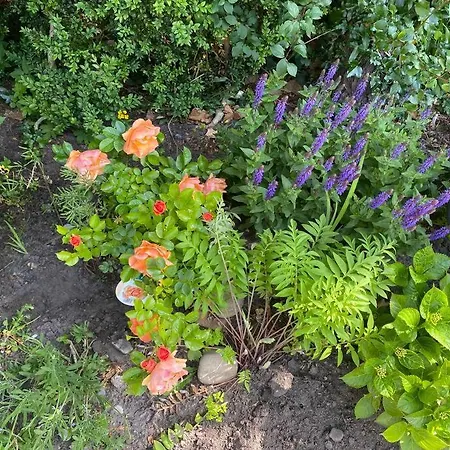 Urlaubsdomizil Norden/norddeich, Mit Garten Appartement Norden